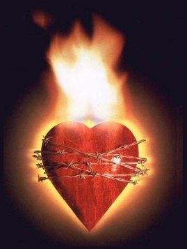 AMO-TE MEU AMOR - mms